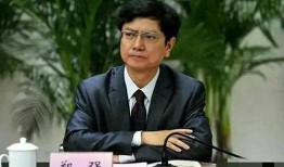 郑强最新爆料视频在线观看,深度剖析事件背后真相