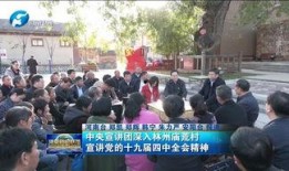 林州爆料新闻最新事件,惊曝重大事件引发社会关注