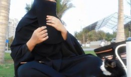 娱乐吃瓜君内增高,揭秘明星内增高背后的秘密